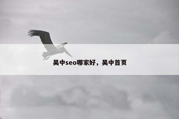 吴中seo哪家好，吴中首页