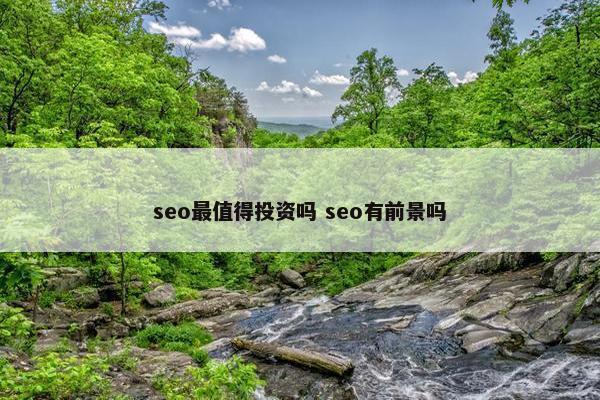 seo最值得投资吗 seo有前景吗