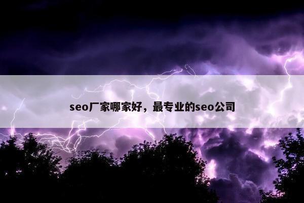 seo厂家哪家好，最专业的seo公司