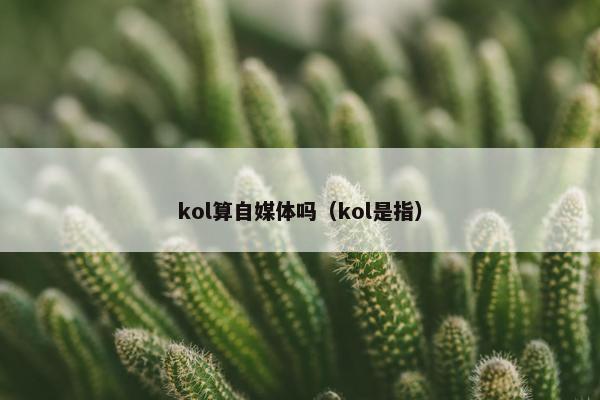 kol算自媒体吗（kol是指）