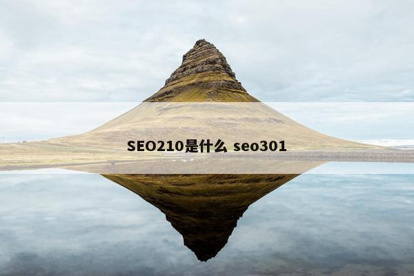 SEO210是什么 seo301