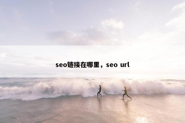 seo链接在哪里，seo url