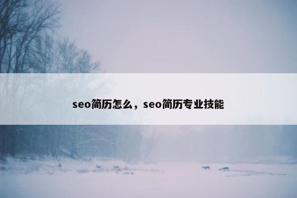 seo简历怎么，seo简历专业技能