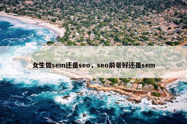 女生做sem还是seo，seo前景好还是sem