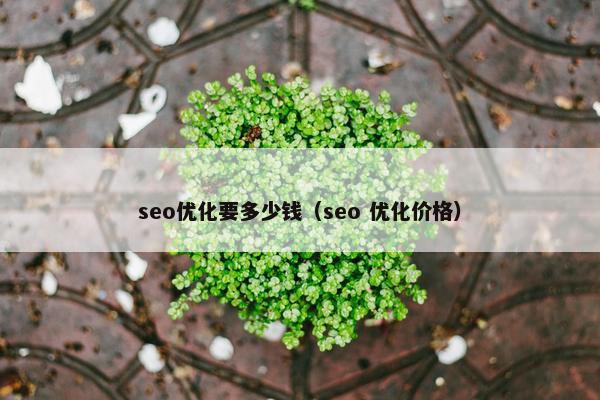 seo优化要多少钱（seo 优化价格）