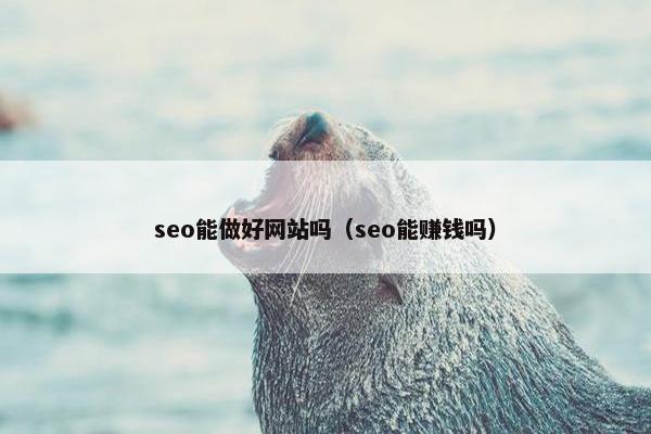 seo能做好网站吗（seo能赚钱吗）