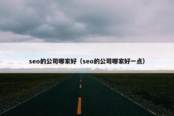 seo的公司哪家好（seo的公司哪家好一点）