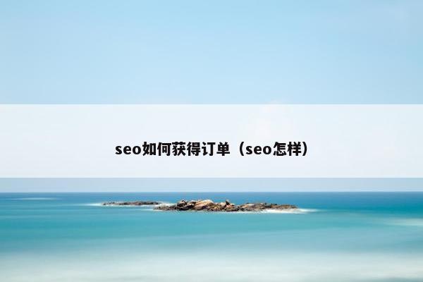 seo如何获得订单（seo怎样）