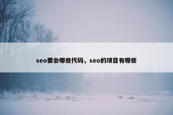 seo要会哪些代码，seo的项目有哪些