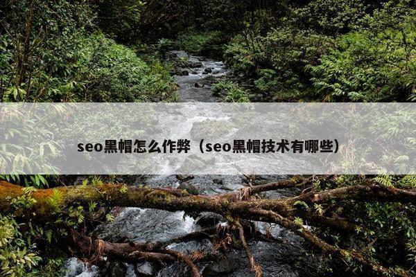 seo黑帽怎么作弊（seo黑帽技术有哪些）