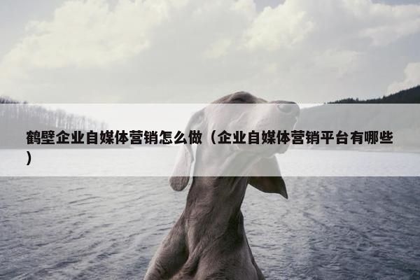 鹤壁企业自媒体营销怎么做（企业自媒体营销平台有哪些）