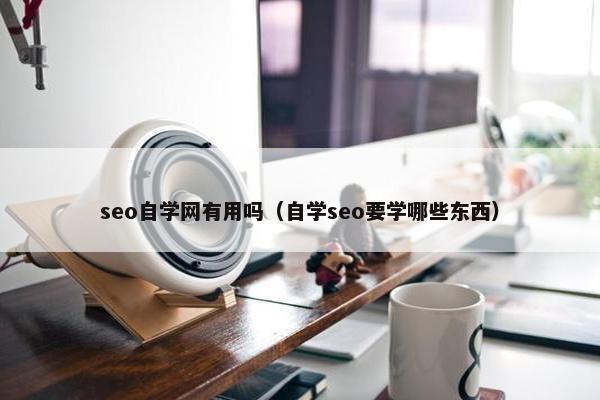 seo自学网有用吗（自学seo要学哪些东西）