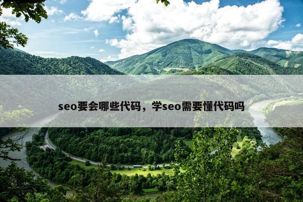 seo要会哪些代码，学seo需要懂代码吗