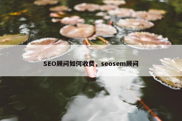 SEO顾问如何收费，seosem顾问