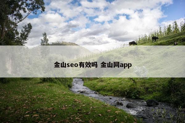 金山seo有效吗 金山网app