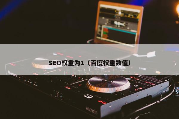 SEO权重为1（百度权重数值）