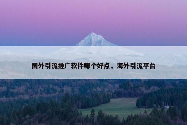 国外引流推广软件哪个好点，海外引流平台