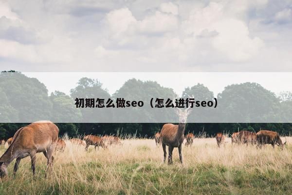 初期怎么做seo（怎么进行seo）