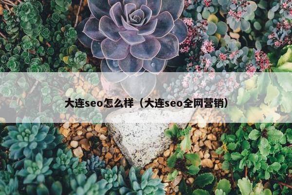 大连seo怎么样（大连seo全网营销）