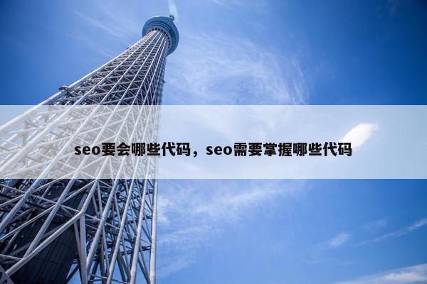 seo要会哪些代码，seo需要掌握哪些代码