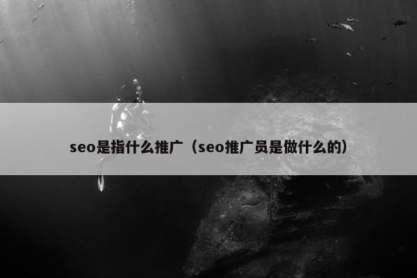 seo是指什么推广（seo推广员是做什么的）