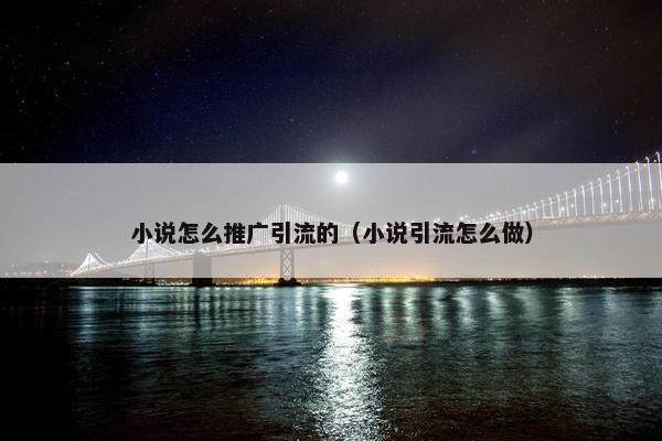 小说怎么推广引流的（小说引流怎么做）