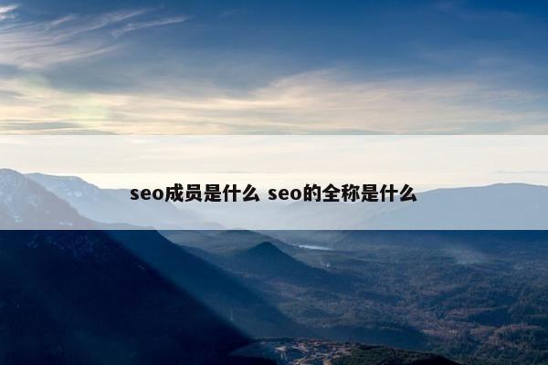 seo成员是什么 seo的全称是什么