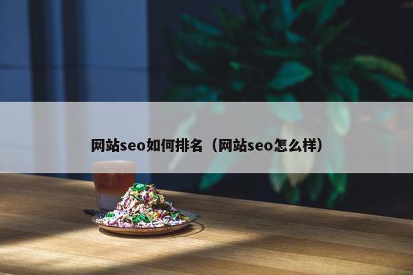 网站seo如何排名（网站seo怎么样）