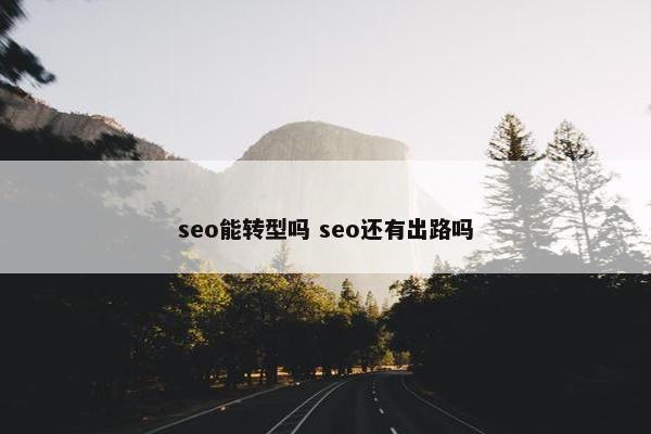 seo能转型吗 seo还有出路吗