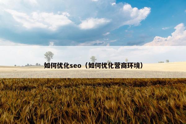 如何优化seo（如何优化营商环境）