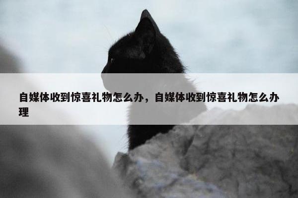 自媒体收到惊喜礼物怎么办，自媒体收到惊喜礼物怎么办理