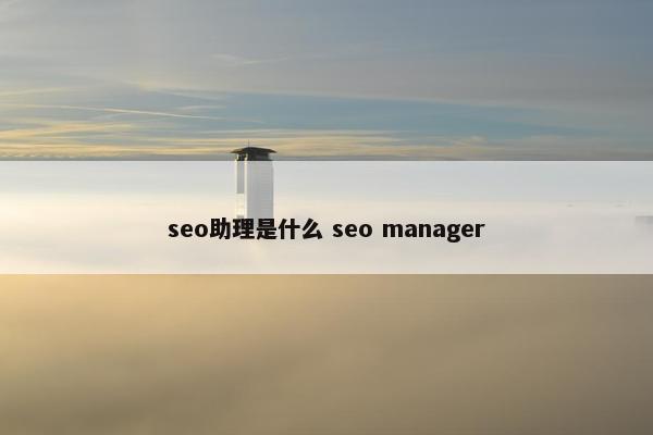 seo助理是什么 seo manager