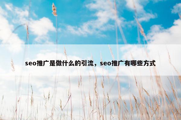 seo推广是做什么的引流，seo推广有哪些方式