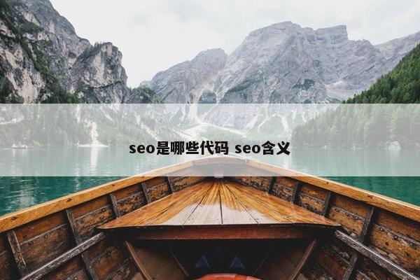 seo是哪些代码 seo含义