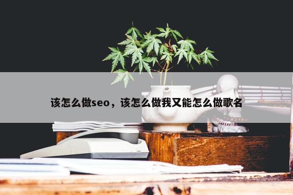 该怎么做seo，该怎么做我又能怎么做歌名