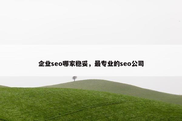 企业seo哪家稳妥，最专业的seo公司