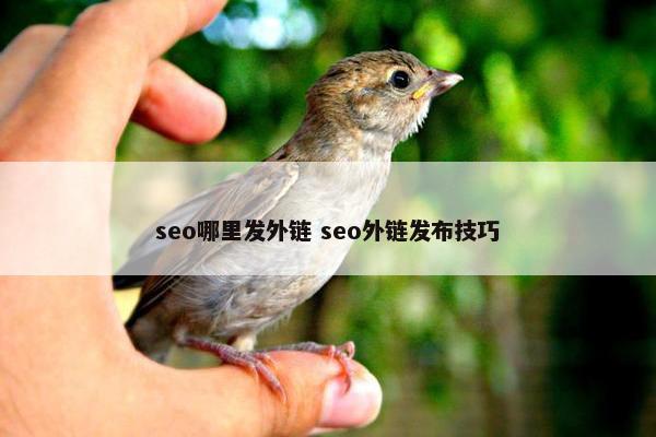 seo哪里发外链 seo外链发布技巧