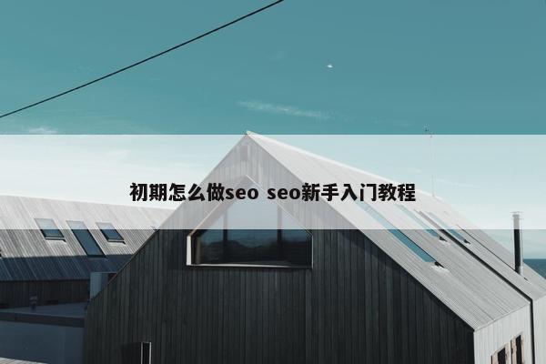 初期怎么做seo seo新手入门教程