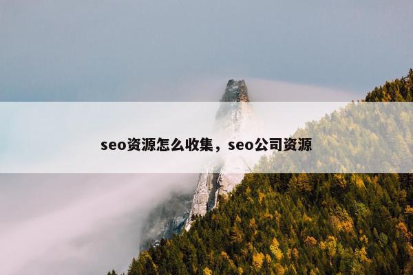 seo资源怎么收集，seo公司资源