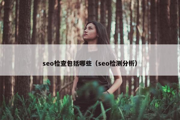 seo检查包括哪些（seo检测分析）