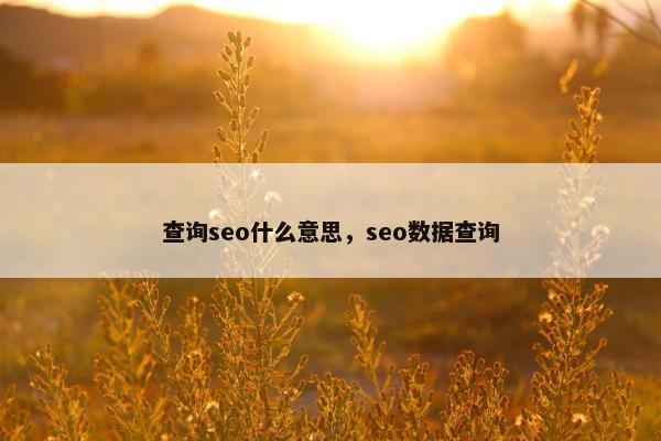 查询seo什么意思，seo数据查询