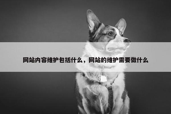 网站内容维护包括什么，网站的维护需要做什么