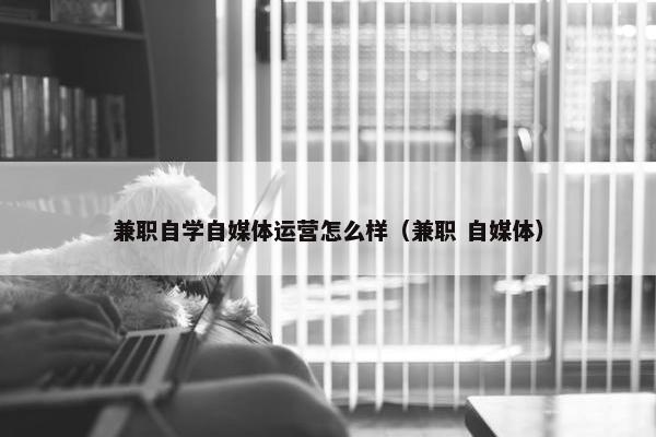 兼职自学自媒体运营怎么样（兼职 自媒体）