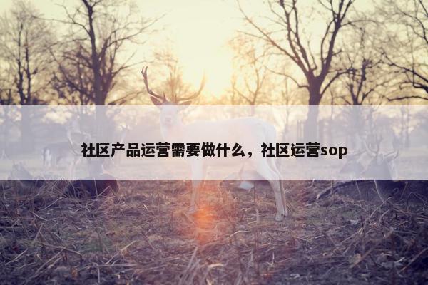 社区产品运营需要做什么，社区运营sop