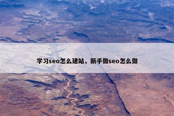 学习seo怎么建站，新手做seo怎么做