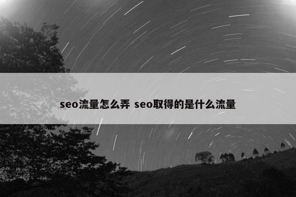 seo流量怎么弄 seo取得的是什么流量