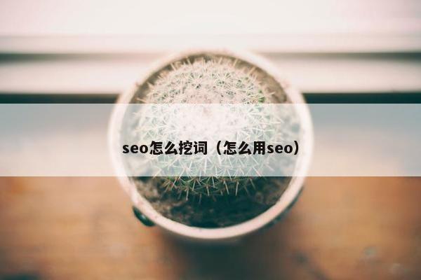 seo怎么挖词（怎么用seo）