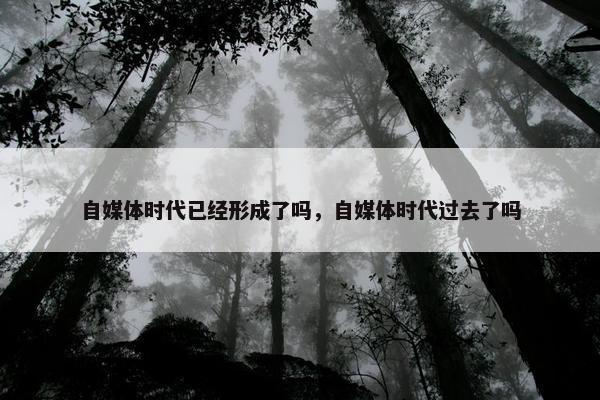 自媒体时代已经形成了吗，自媒体时代过去了吗