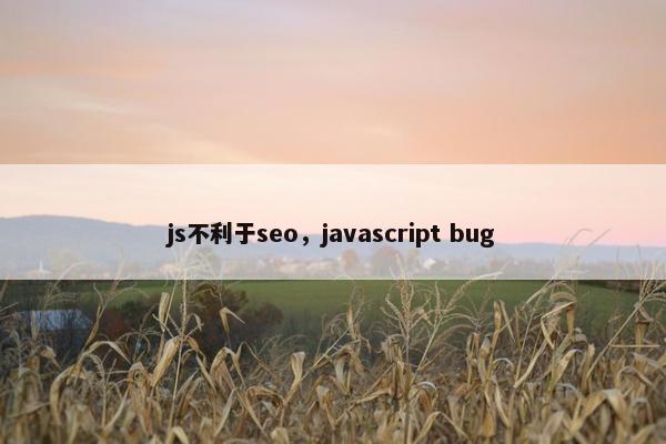 js不利于seo，javascript bug