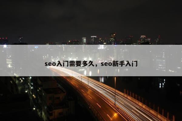 seo入门需要多久，seo新手入门